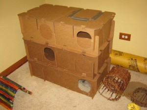 Construyendo un castillo de cartón para tu conejito » CONEJOPEDIA